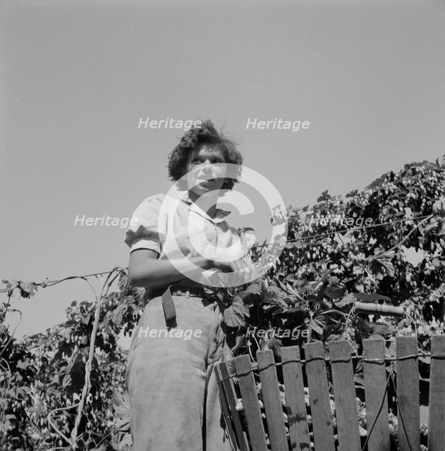 Possibly: Wife of an ex-logger, now a migrat..., Independence (vicinity), Polk County, Oregon, 1939. Creator: Dorothea Lange.