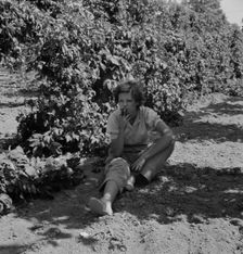 Possibly: Wife of an ex-logger, now a migrat..., Independence (vicinity), Polk County, Oregon, 1939. Creator: Dorothea Lange