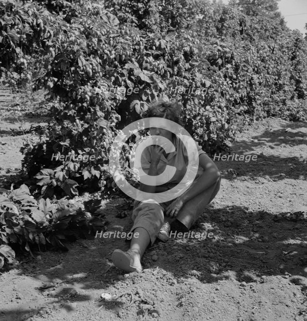 Possibly: Wife of an ex-logger, now a migrat..., Independence (vicinity), Polk County, Oregon, 1939. Creator: Dorothea Lange.