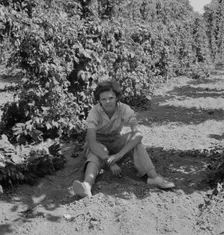 Possibly: Wife of an ex-logger, now a migrat..., Independence (vicinity), Polk County, Oregon, 1939. Creator: Dorothea Lange