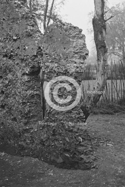 Possibly: Tabby construction, ruins of supposed Spanish mission, St. Marys, Georgia, 1936. Creator: Walker Evans.