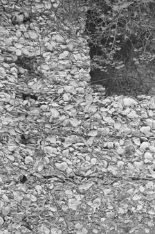 Possibly: Tabby construction, ruins of supposed Spanish mission, St. Marys, Georgia, 1936. Creator: Walker Evans