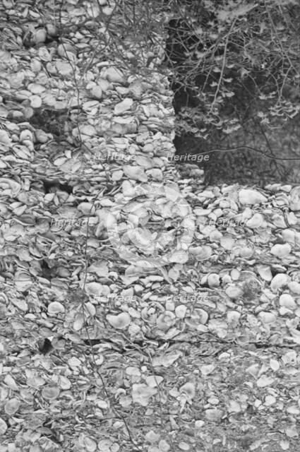 Possibly: Tabby construction, ruins of supposed Spanish mission, St. Marys, Georgia, 1936. Creator: Walker Evans.