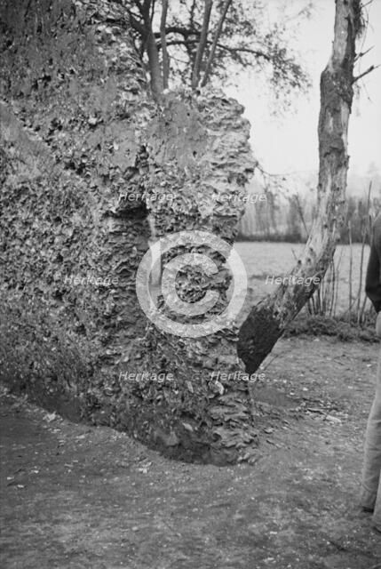 Possibly: Tabby construction, ruins of supposed Spanish mission, St. Marys, Georgia, 1936. Creator: Walker Evans.