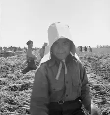 Possibly: Texas woman in carrot pullers camp, Imperial Valley, California, 1939. Creator: Dorothea Lange