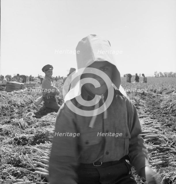 Possibly: Texas woman in carrot pullers' camp, Imperial Valley, California, 1939. Creator: Dorothea Lange.