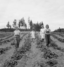 Possibly: The Arnold children and mother on their newly...Michigan Hill, Thurston County, 1939. Creator: Dorothea Lange