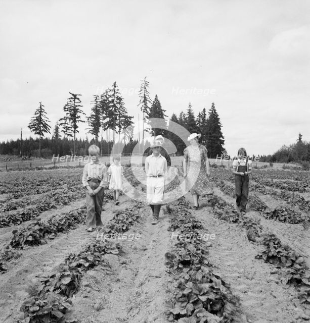Possibly: The Arnold children and mother on their newly...Michigan Hill, Thurston County, 1939. Creator: Dorothea Lange.