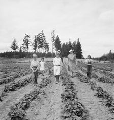 Possibly: The Arnold children and mother on their newly...Michigan Hill, Thurston County, 1939. Creator: Dorothea Lange