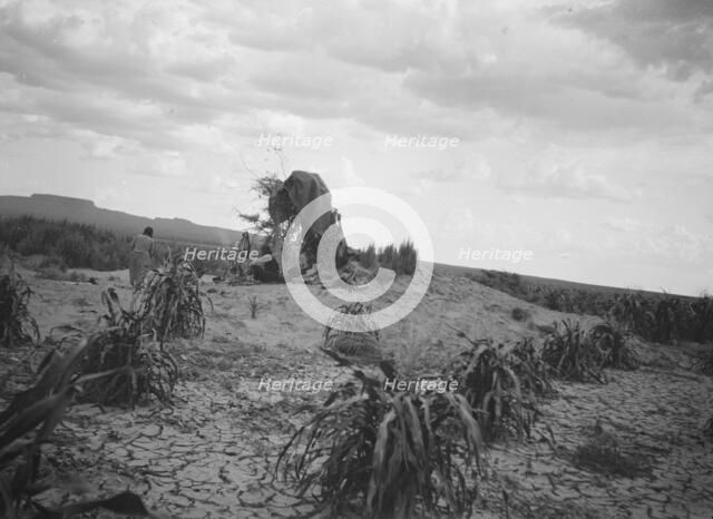 Possibly the southwest USA, between 1904 and 1938? Creator: Arnold Genthe.