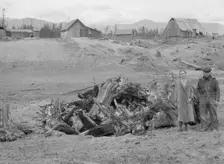 Possibly: The Unruf family, stump pile, and their partly developed farm, Boundary County, Idaho,1939 Creator: Dorothea Lange