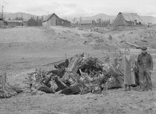 Possibly: The Unruf family, stump pile, and their partly developed farm, Boundary County, Idaho,1939 Creator: Dorothea Lange