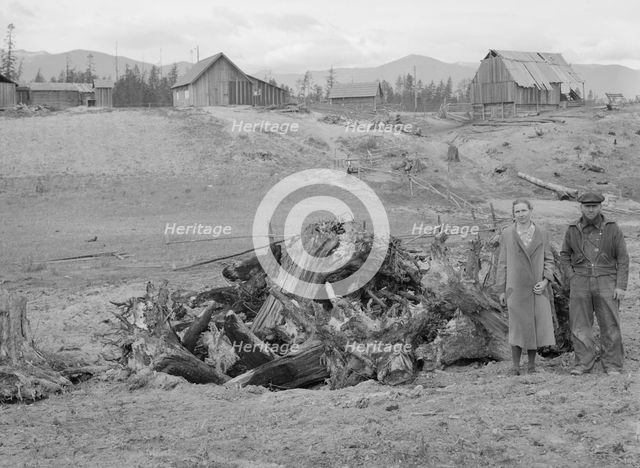 Possibly: The Unruf family, stump pile, and their partly developed farm, Boundary County, Idaho,1939 Creator: Dorothea Lange.