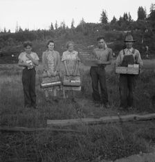 Possibly: This family, like others in the area, raise strawberries..., near Tenino, Washington, 1939 Creator: Dorothea Lange