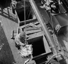 Possibly: Unloading fish from the hold of a New England fishing boat at the..., New York, 1943. Creator: Gordon Parks