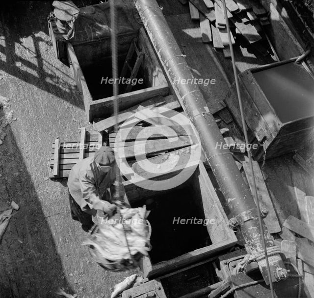 Possibly: Unloading fish from the hold of a New England fishing boat at the..., New York, 1943. Creator: Gordon Parks.