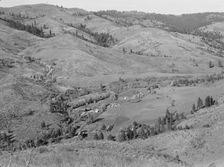 Possibly: Upper end of Squaw Creek Valley..., Ola self-help sawmill co-op, Gem County, Idaho, 1939. Creator: Dorothea Lange