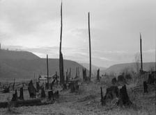 Possibly: View of the Halley farm. Priest River Peninsula, Bonner County, Idaho, 1939. Creator: Dorothea Lange