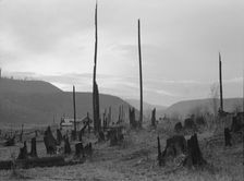 Possibly: View of the Halley farm. Priest River Peninsula, Bonner County, Idaho, 1939. Creator: Dorothea Lange