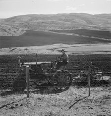 Possibly: Young Idaho farmer plowing in the fall of the year..., Gem County, Idaho, 1939. Creator: Dorothea Lange