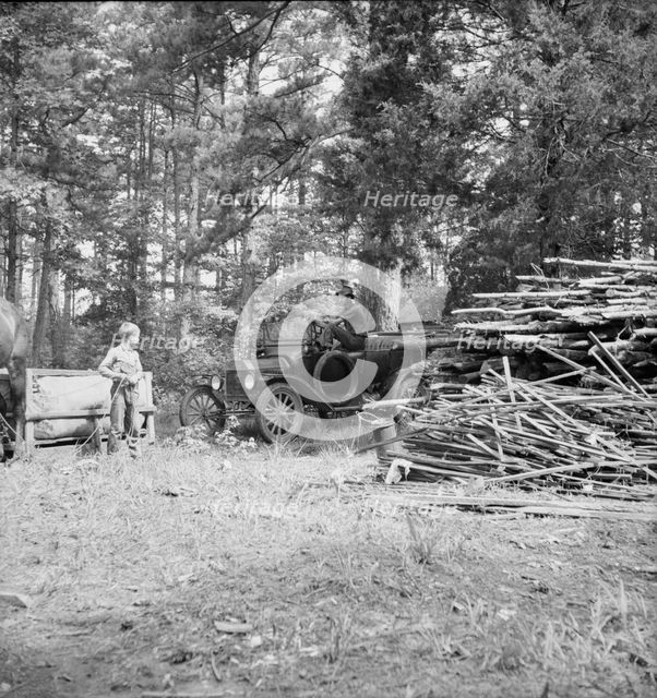 Possibly: Young son of tenant farmer gathering sticks..., Granville County, North Carolina, 1939. Creator: Dorothea Lange.