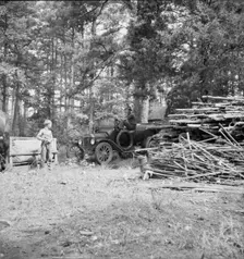 Possibly: Young son of tenant farmer gathering sticks..., Granville County, North Carolina, 1939. Creator: Dorothea Lange
