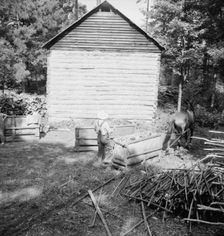 Possibly: Young son of tenant farmer gathering sticks..., Granville County, North Carolina, 1939. Creator: Dorothea Lange