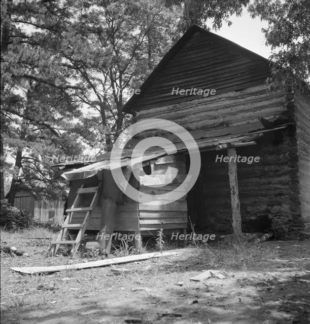 Possibly: Young son of tenant farmer gathering sticks..., Granville County, North Carolina, 1939. Creator: Dorothea Lange.