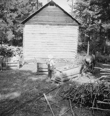 Possibly: Young son of tenant farmer gathering sticks..., Granville County, North Carolina, 1939. Creator: Dorothea Lange