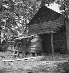Possibly: Young son of tenant farmer gathering sticks..., Granville County, North Carolina, 1939. Creator: Dorothea Lange