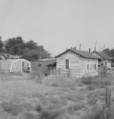 Possibly: Yakima shacktown, (Sumac Park) is one of several large shacktown..., Washington, 1939. Creator: Dorothea Lange