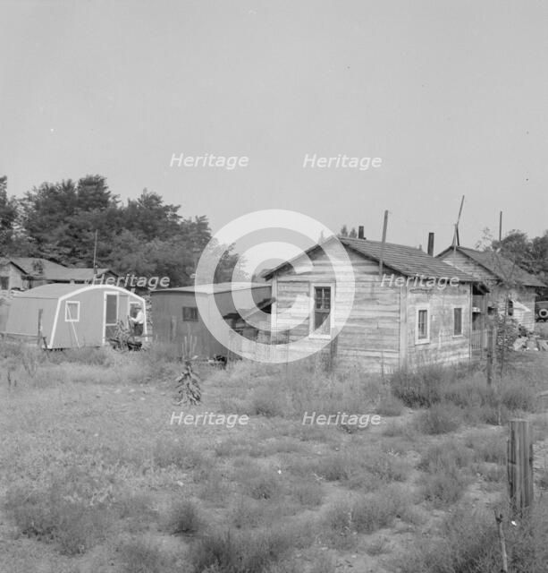 Possibly: Yakima shacktown, (Sumac Park) is one of several large shacktown..., Washington, 1939. Creator: Dorothea Lange.