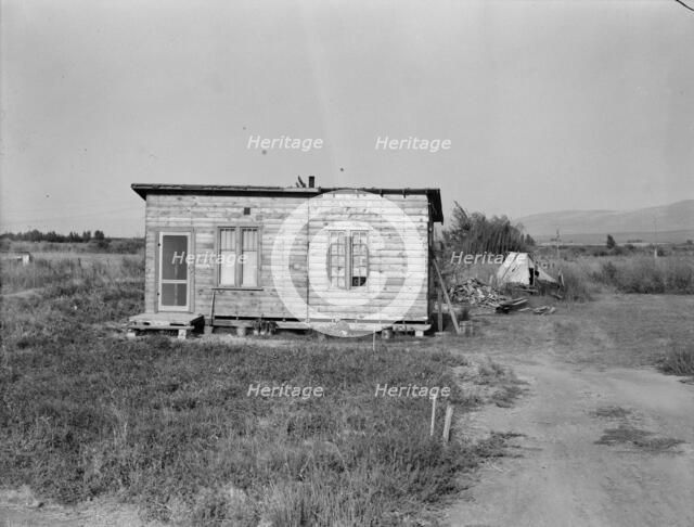 Possibly: Yakima,Washington, 1939. Creator: Dorothea Lange.