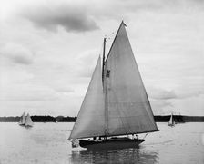 Possum, 1899 June 17. Creator: John S Johnston