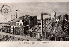 Post card of the Caley confectionery factory, Norwich, Norfolk, 1901