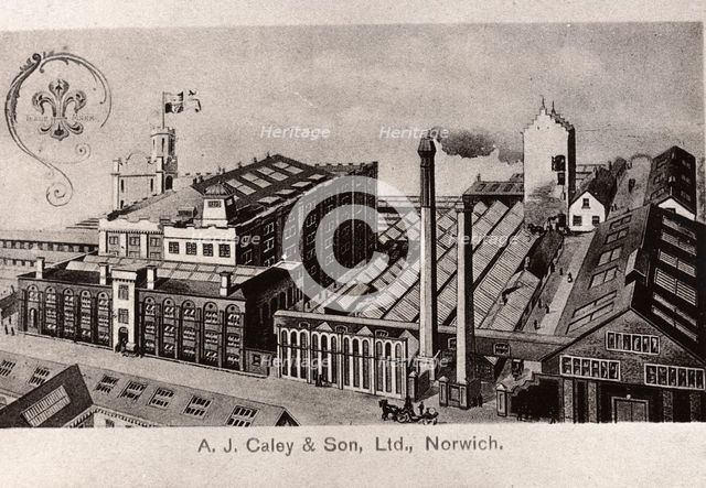 Post card of the Caley confectionery factory,  Norwich, Norfolk, 1901. Artist: Unknown