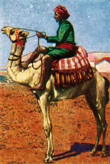 Post delivered by camel, Arabia, c1928. Creator: Unknown