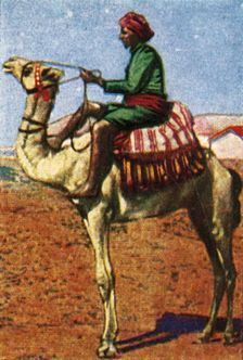 Post delivered by camel, Arabia, c1928. Creator: Unknown