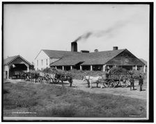 Post's sugar mill, La., c.between 1900 and 1905. Creator: Unknown
