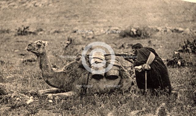 Postcard. War of Africa. Tamasusin occupation. Arabian camel driver shooting at enemy, 1923.