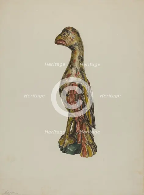 Pa. German Parrot, c. 1939. Creator: Giacinto Capelli.