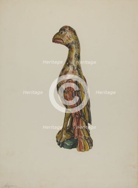 Pa. German Parrot, c. 1939. Creator: Giacinto Capelli.