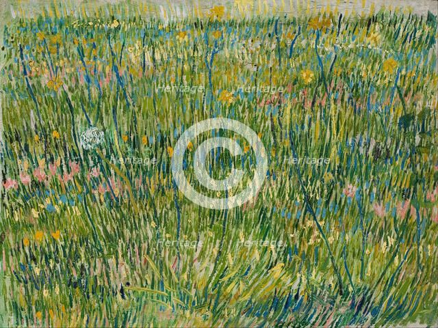 Patch of grass. Artist: Gogh, Vincent, van (1853-1890)