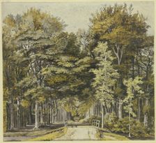 Path through a beech forest, with a wooden bridge in front, 18th century. Creator: Martinus van der Jagt