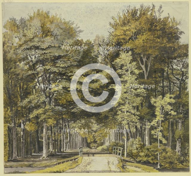 Path through a beech forest, with a wooden bridge in front, 18th century. Creator: Martinus van der Jagt.