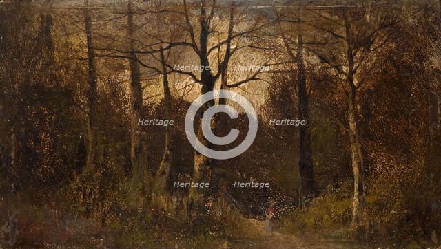 Path through a Wood, 1900. Creator: Unknown.