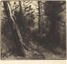Path through the Woods (Sentier sous bois). Creator: Alphonse Legros