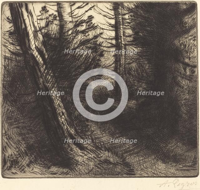 Path through the Woods (Sentier sous bois). Creator: Alphonse Legros.