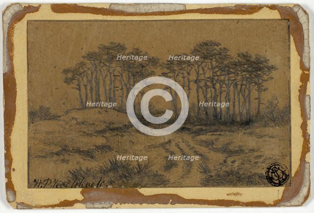 Path Through Trees, c. 1877. Creator: Hermanus Koekkoek.