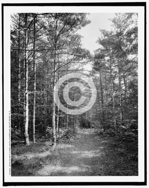 Path to golf links, Hotel Champlain, Bluff Point, N.Y., c.between 1910 and 1920. Creator: Unknown.
